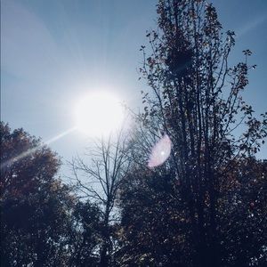 Meet your Posher, Julieta